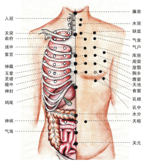 肺癌的蜂疗医治法