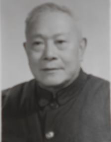 陈伟医师：中国近代最早的蜂疗专家