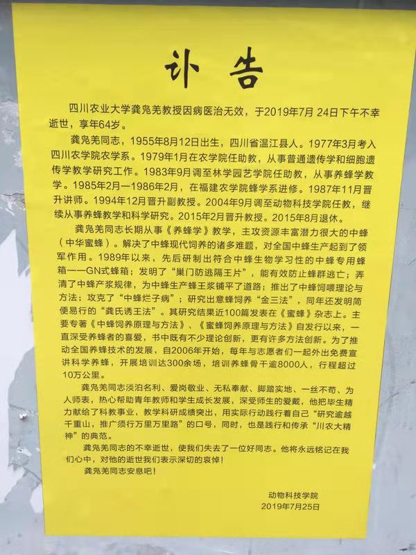2019080411405864798.jpg