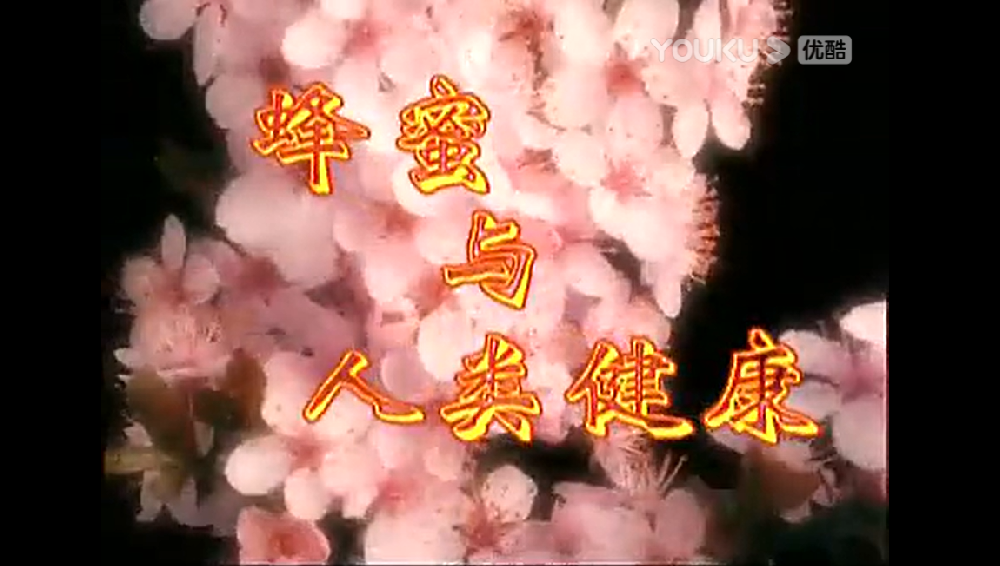 蜂蜜与人类健康