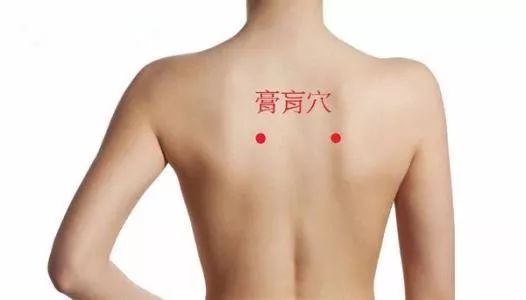 微信图片_20230128202049.jpg