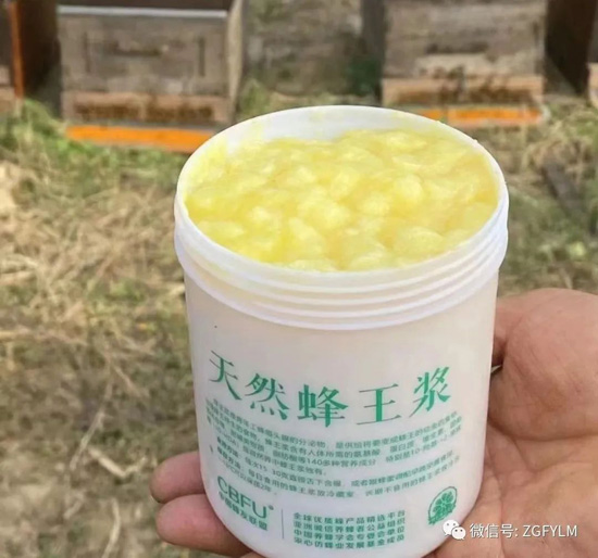 鲜蜂王浆中的球蛋白可抗病毒