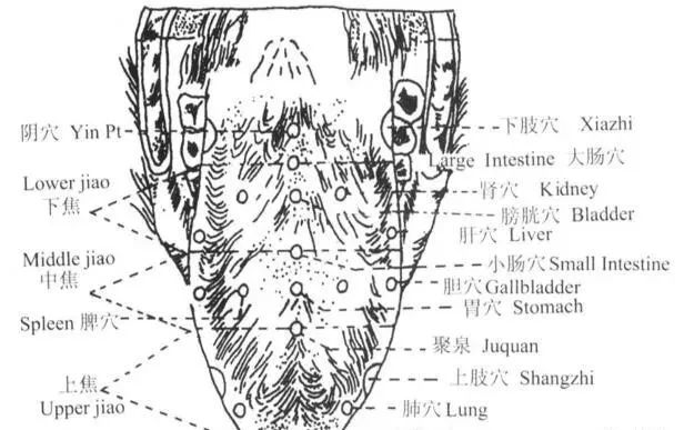 微信图片_20230214213247.jpg