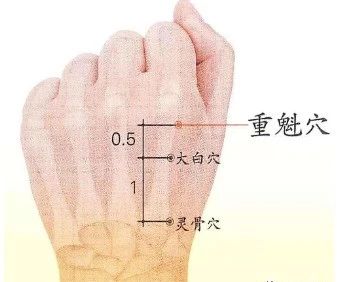 微信图片_20230310195420.jpg