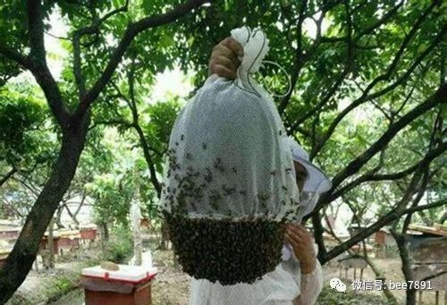 微信图片_20230409203230.jpg
