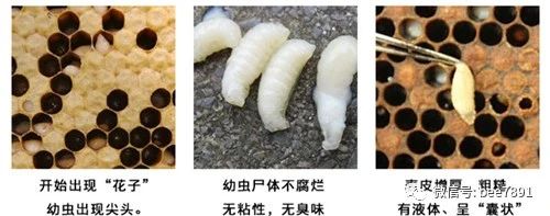 微信图片_20230409203624.jpg