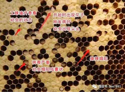 微信图片_20230409203735.jpg