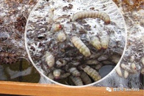 微信图片_20230409203837.jpg