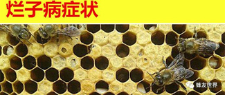 微信图片_20230425183219.jpg