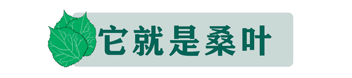 微信图片_20230619190634.png
