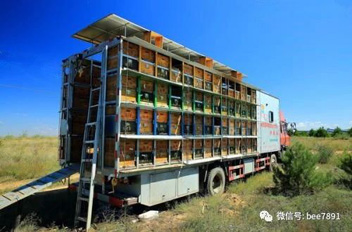 我国主要有哪些放蜂路线