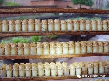 蜂王浆，老年人的保健应用价值高