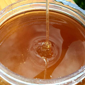 原蜜才有活性酶！加工蜜和纯蜂蜜差别惊人