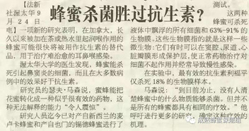 蜂蜜不是抗生素，胜于抗生素