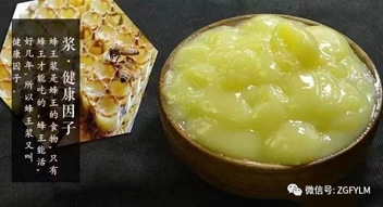 蜂王浆为什么注定不能成为药物？