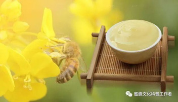 蜂王浆：养肝补肾防肝肾病