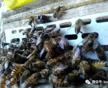 微信图片_20230808173932.jpg