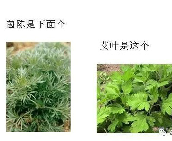 微信图片_20230815120252.jpg