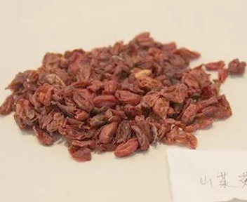 中药山萸肉治疗虚汗很有效