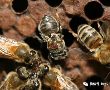 微信图片_20230714161405.jpg