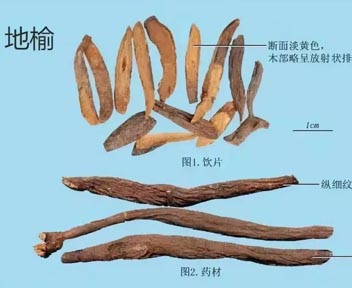 微信图片_20230924124906.jpg