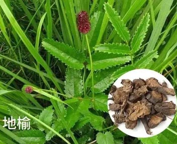 微信图片_20230924124924.jpg