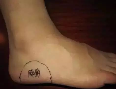 微信图片_20230924190459.jpg