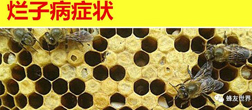 微信图片_20231004192435.jpg
