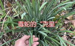 微信图片_20231005175739.png