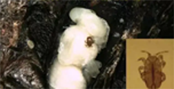 微信图片_20231006114308.png