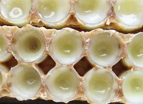 蜂王浆抗衰老的六大原因，就是这么厉害！