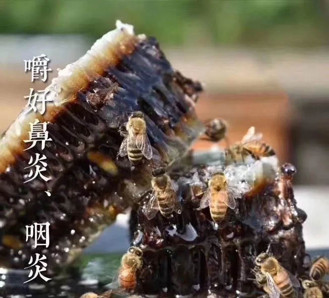 微信图片_20231006141527.jpg