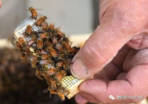 微信图片_20231007175218.jpg