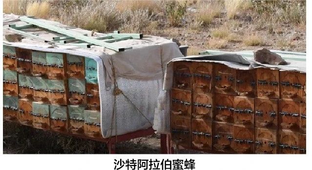 微信图片_20231012201824.jpg