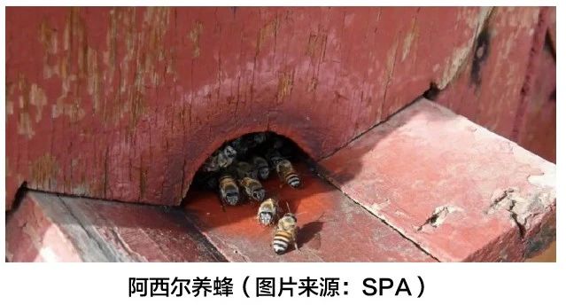 微信图片_20231012201834.jpg