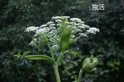 微信图片_20231017175624.jpg