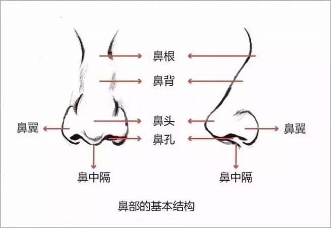 微信图片_20231019123521.jpg