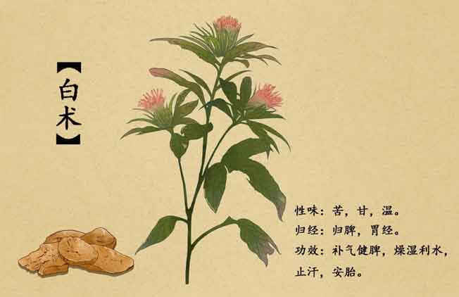 微信图片_20231103181905.jpg