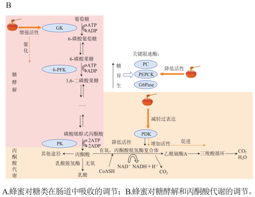 微信图片_20231104180549.png
