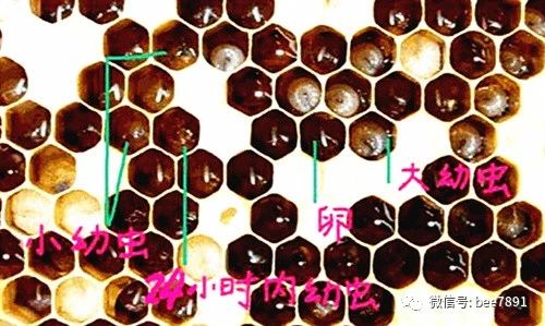 微信图片_20231104184436.jpg
