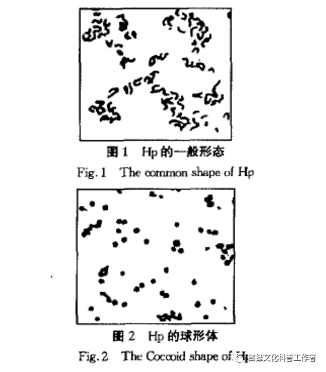 微信图片_20231108215334.png