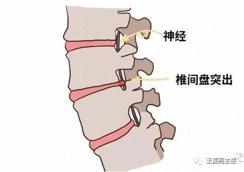 微信图片_20231110125222.jpg