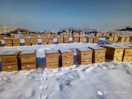 微信图片_20231116194902.jpg