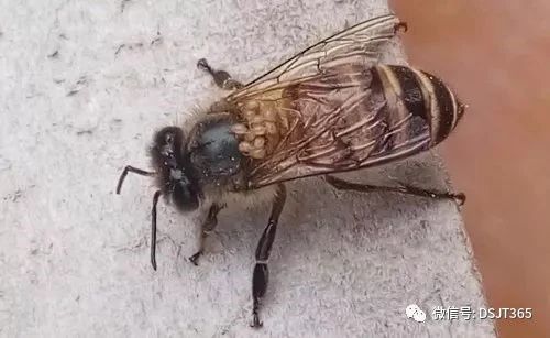 微信图片_20231128131612.jpg