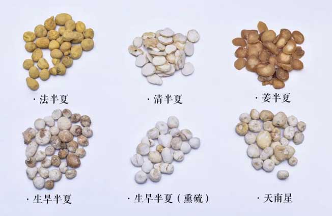 微信图片_20231201211707.jpg