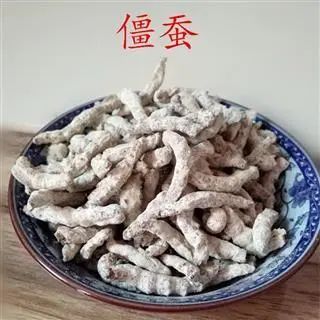微信图片_20231202112134.jpg