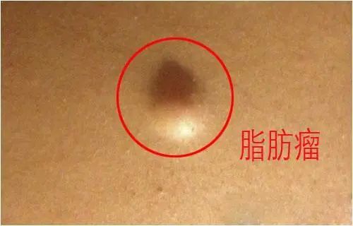 微信图片_20231230123355.jpg