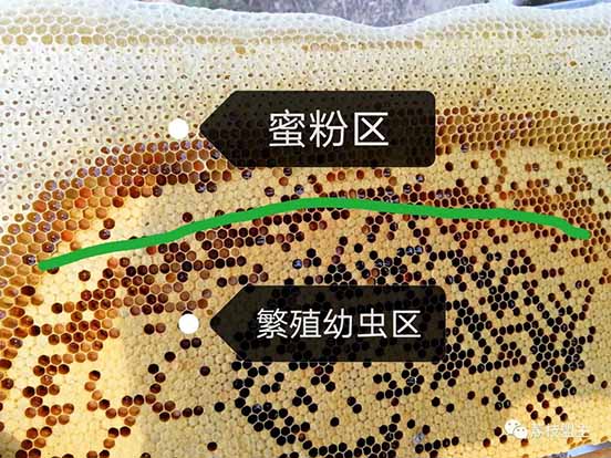 微信图片_20240113190823.jpg