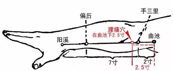 微信图片_20240115160723.jpg