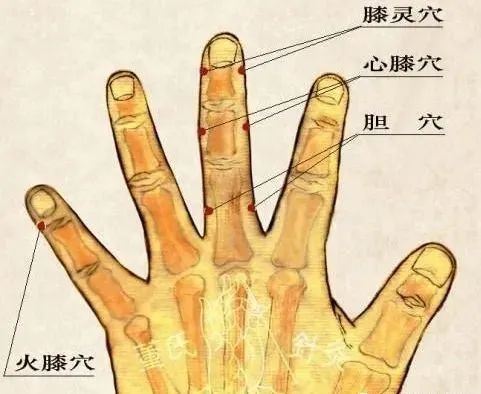 微信图片_20240123100951.jpg